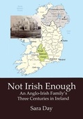 Cover: Not Irish Enough - New Academia Publishing, LLC