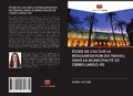 Cover: &Eacute;TUDE DE CAS SUR LA R&Eacute;GULARISATION DU TRAVAIL DANS LA MUNICIPALIT&Eacute; DE CERRO LARGO-RS - Editions Notre Savoir