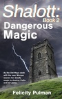 Cover: Shalott: Dangerous Magic - Holmes House Press