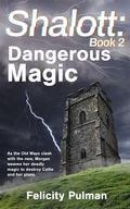Cover: Shalott: Dangerous Magic - Holmes House Press