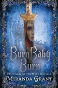 Cover: Burn Baby Burn - Writing Evolution