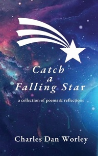 Abbildung von: Catch a Falling Star - Word Wise Publishing Inc