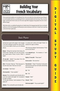 Abbildung von: French Vocabulary (Blokehead Easy Study Guide) - Publisher s21017