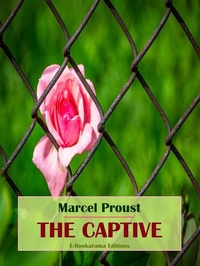 Enlarge image Cover: The Captive - E-BOOKARAMA