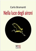 Cover: Nella luce degli aironi - Temperino Rosso Edizioni