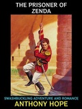 Cover: The Prisoner of Zenda - Diamond Book Publishing