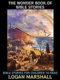 Cover: The Wonder Book of Bible Stories - Diamond Book Publishing