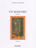 Cover: Un maschio - Panozzo Editore