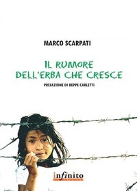 Abbildung von: Il rumore dell'erba che cresce - Infinito Edizioni