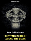 Cover: Survivals in Belief Among the Celts - E-BOOKARAMA