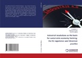 Cover: Industrial revolutions as the basis for sustainable economy forming: the EU experience and Ukrainian practice - LAP Lambert Academic Publishing