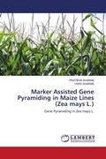 Cover: Marker Assisted Gene Pyramiding in Maize Lines (Zea mays L.) - LAP Lambert Academic Publishing