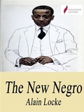 Cover: The New Negro - Passerino