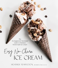 Abbildung von: Easy No-Churn Ice Cream - Page Street Publishing