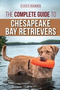 Cover: The Complete Guide to Chesapeake Bay Retrievers - LP Media Inc