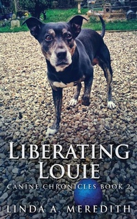 Enlarge image Cover: Liberating Louie - Next Chapter