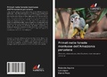 Cover: Primati nelle foreste montuose dell'Amazzonia peruviana - Edizioni Sapienza