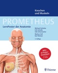 Bild: PROMETHEUS LernPoster der Anatomie, Knochen und Muskeln - Thieme