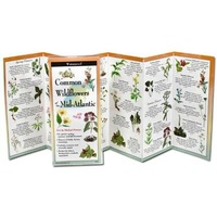 Enlarge image Cover: Common Wildflowers of the Mid-Atlantic - Earth Sky + Water