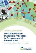 Cover: Persulfate-based Oxidation Processes in Environmental Remediation - Royal Society of Chemistry