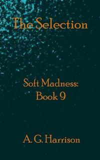 Enlarge image Cover: The Selection - ebookpartnership.com