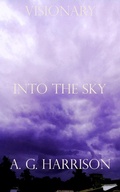Cover: Into The Sky - ebookpartnership.com