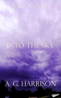 Enlarge image Cover: Into The Sky - ebookpartnership.com