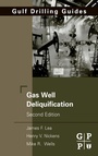 Cover: Gas Well Deliquification - Gulf Publishing