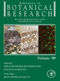 Bild: Wood Degradation and Ligninolytic Fungi - Academic Press