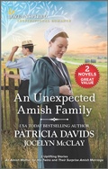 Cover: An Unexpected Amish Family - Harlequin