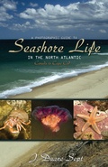 Cover: A Photographic Guide to Seashore Life in the North Atlantic - Princeton University Press