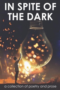 Enlarge image Cover: In Spite of the Dark - Willow Park Press