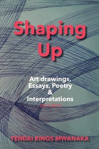 Abbildung von: Shaping Up - Mwanaka Media and Publishing