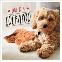 Abbildung von: Love is a Cockapoo - Summersdale Publishers