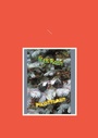 Cover: Pilottilasit - Books on Demand