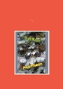 Cover: Pilottilasit - BoD - Books on Demand