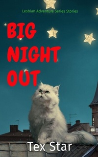 Abbildung von: BIG NIGHT OUT - Dash Starkey