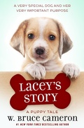 Cover: Lacey's Story - Odd Dot