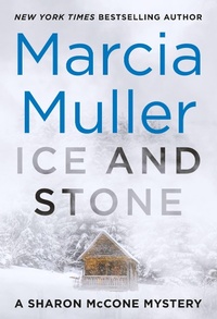 Enlarge image Cover: Ice and Stone - Grand Central Publishing