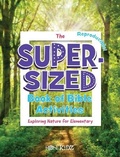Cover: The Super-Sized Book of Bible Activities - Rosekidz