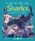 Cover: Sharks (a Day in the Life) - Neon Squid