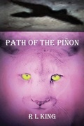 Cover: Path Of The Pinon - Sift Solutions