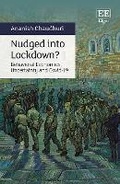 Cover: Nudged into Lockdown? - Edward Elgar Publishing