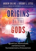 Cover: Origins of the Gods - Bear & Company