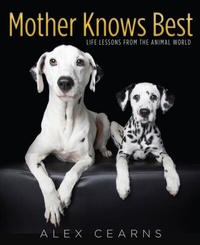 Abbildung von: Mother Knows Best - Penguin eBooks