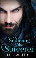 Cover: Seducing the Sorcerer - Lee Welch