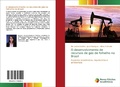 Cover: O desenvolvimento de recursos de g&aacute;s de folhelho no Brasil - Novas Edi&ccedil;&otilde;es Acad&ecirc;micas