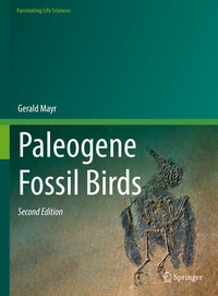 Bild: Paleogene Fossil Birds - Springer