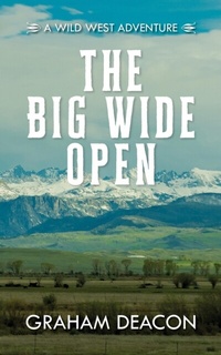 Abbildung von: The Big Wide Open - Palmetto Publishing