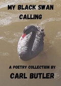 Cover: My Black Swan Calling - Distributed By Ingram Spark